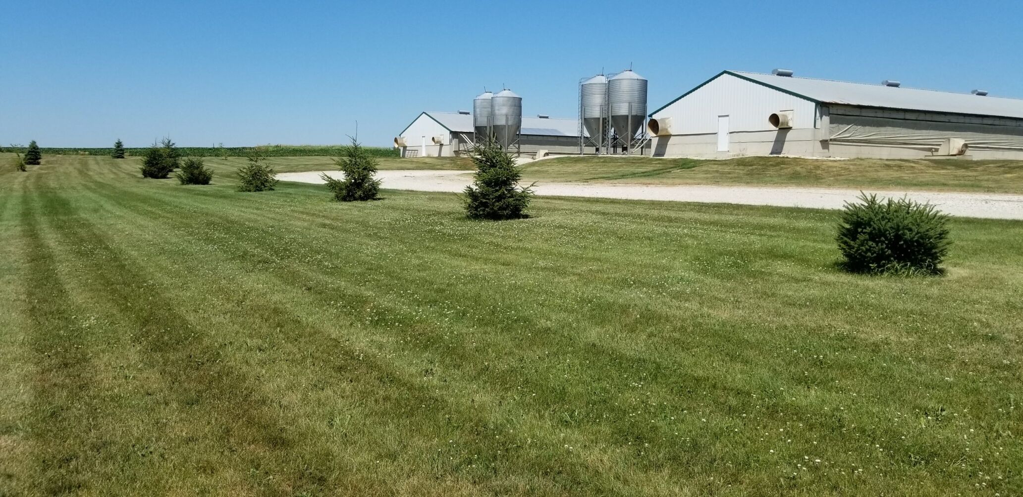 Iowa Pork environmental award 2.jpg